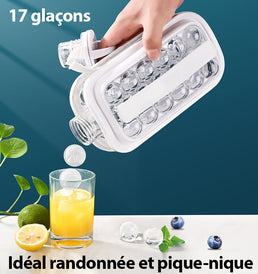 Bouteille portable à Glaçons - Livraison Offerte