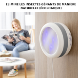 Lampe anti-moustiques avec 4 LED UV à aspiration avec support mural - Livraison offerte