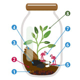 Terrarium à assembler avec graines et accessoires - Livraison offerte