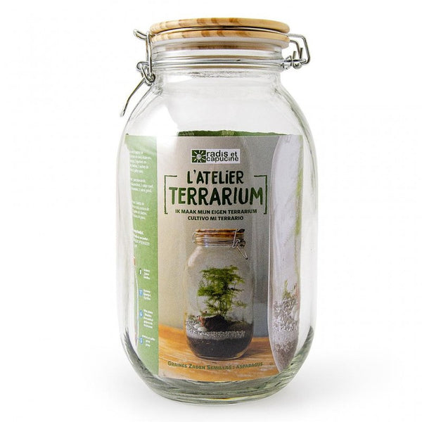 Terrarium à assembler avec graines et accessoires - Livraison offerte